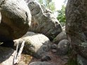 2018-05-24 14-48-35  Rando Fontainebleau FGn